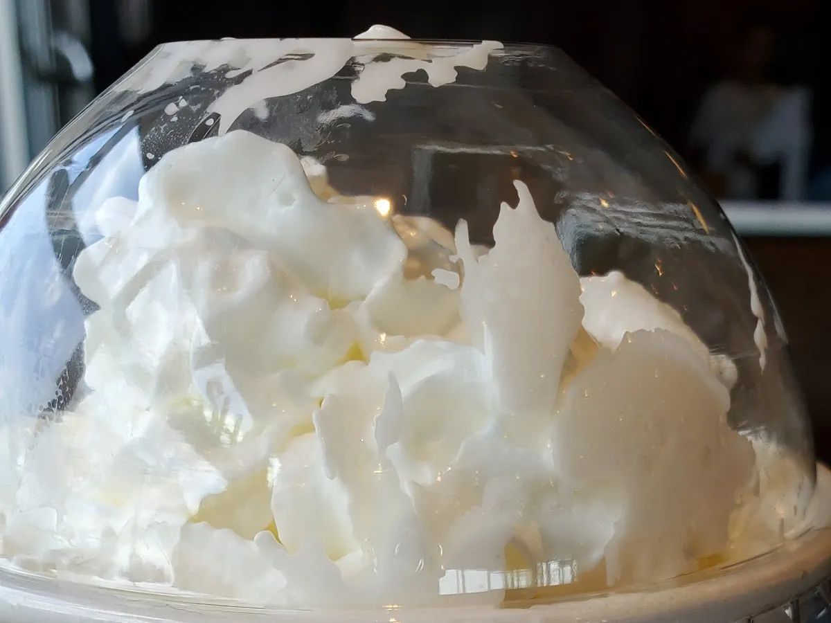 Shake Shack Marlton photo 4