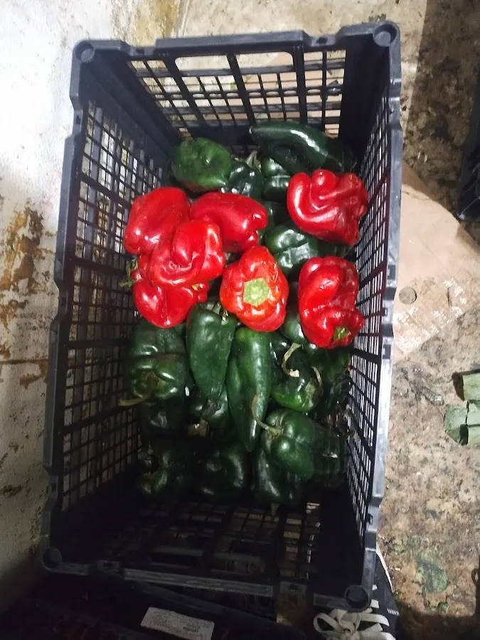 Shanti Jamaican Restaurant