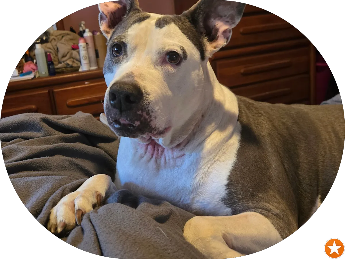 Shear Pink Salon photo 5