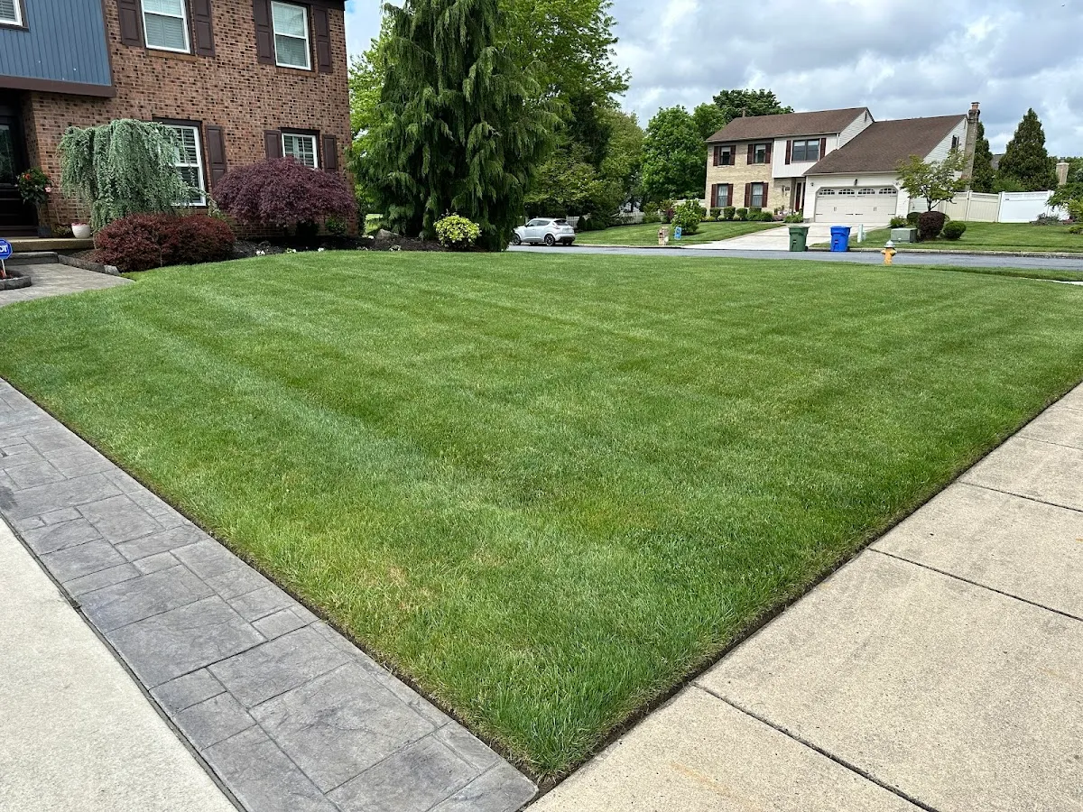 Shepards landscaping photo 4