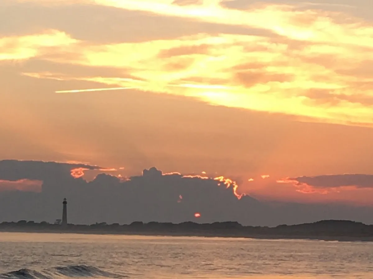 Shepherd & Son Termite photo 4