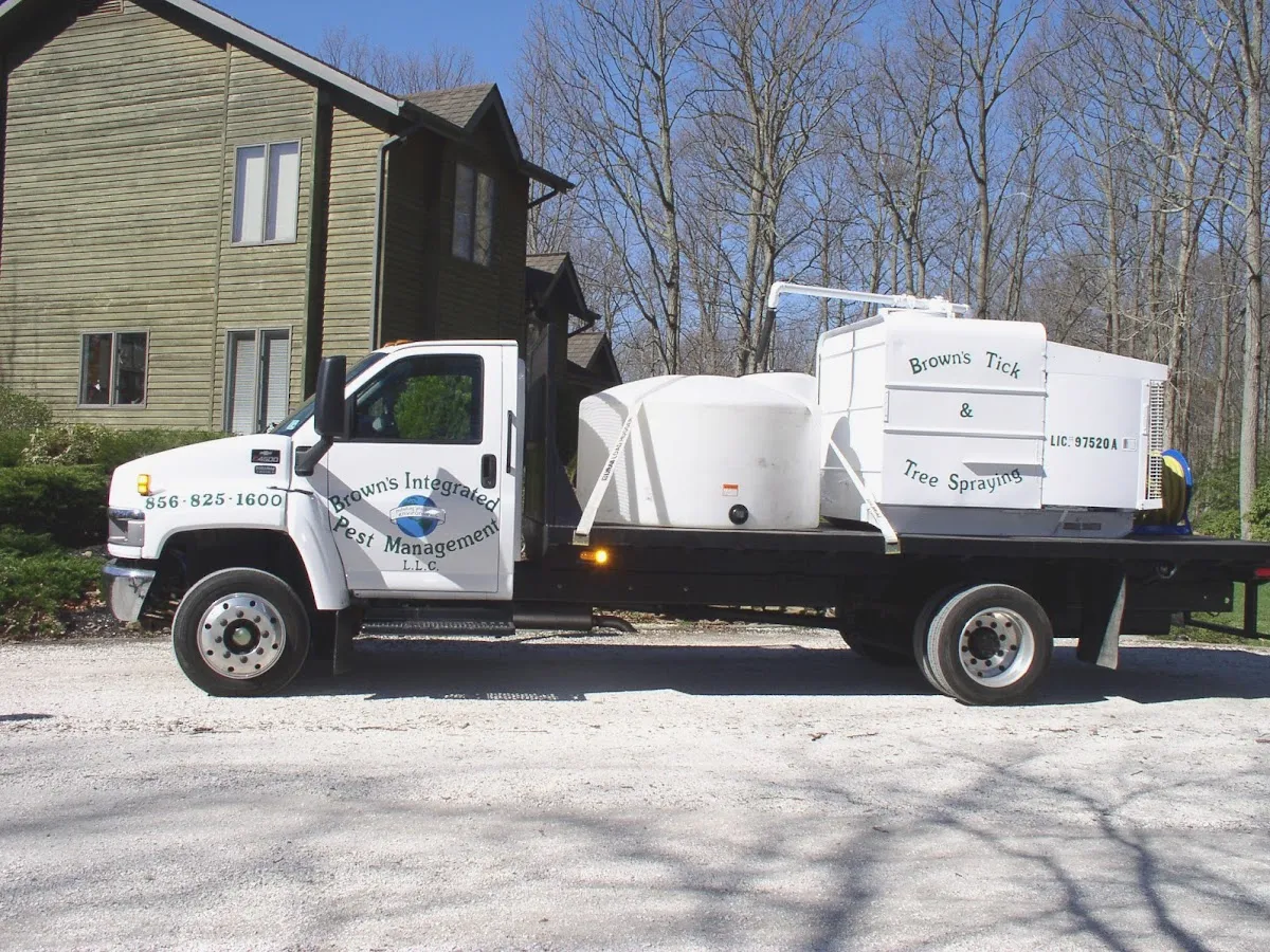 Shepherd & Son Termite photo 5