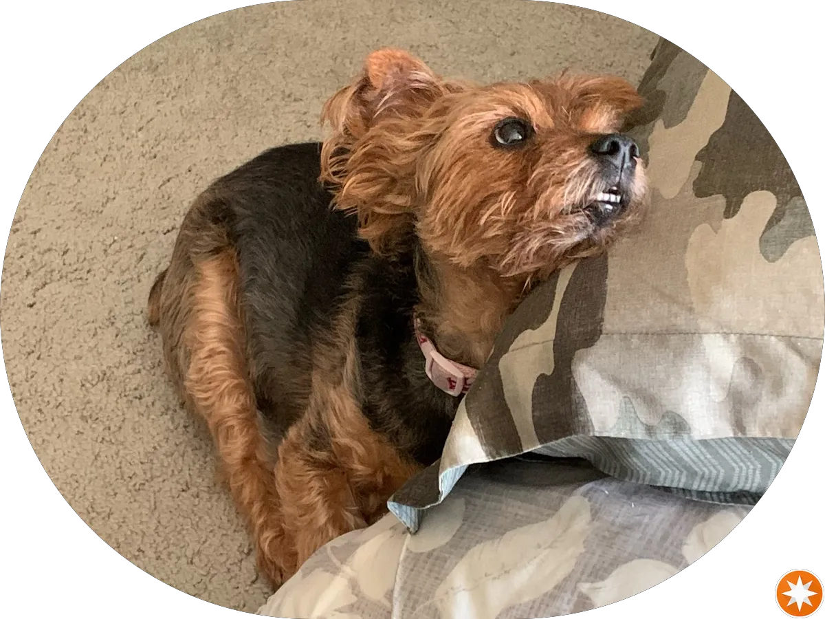 ShopRite Wines & Spirits of Cherry Hill photo 4