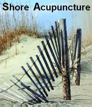 Shore Acupuncture LLC