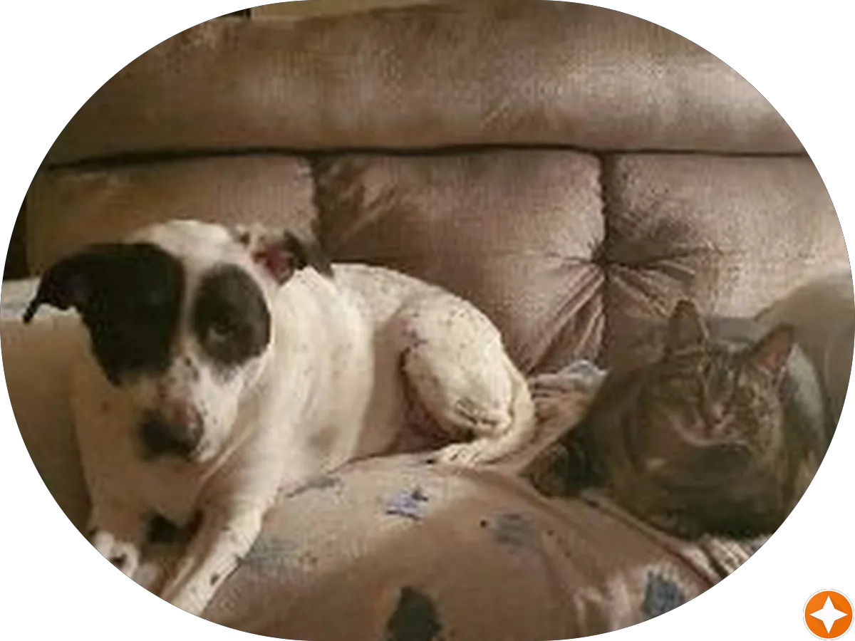 Shore Solutions Mechanical Contracting photo 2