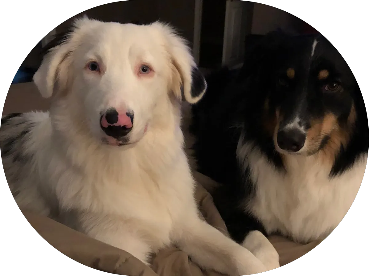 Shore-Spect Home Inspections, LLC photo 4