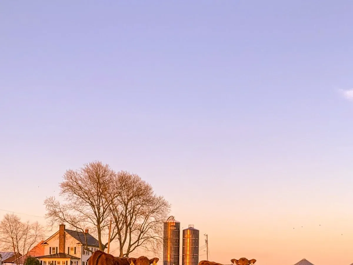 Sickler's Circle View Farm