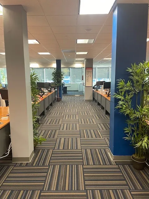 Single Throw Marketing photo 4