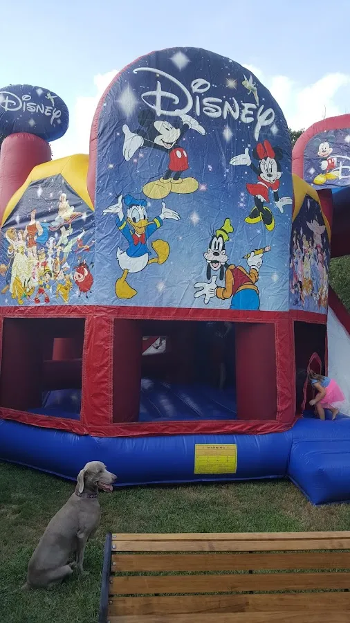 Sky High Moon Bounce Rentals photo 2