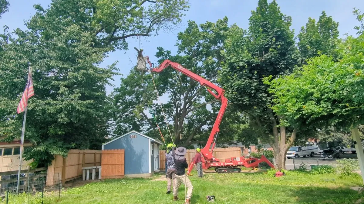 Skyfall Landscaping & Tree Removal Service photo 3