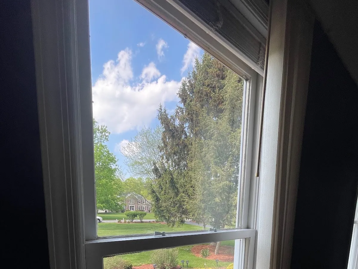 Skylight Window Cleaning photo 5