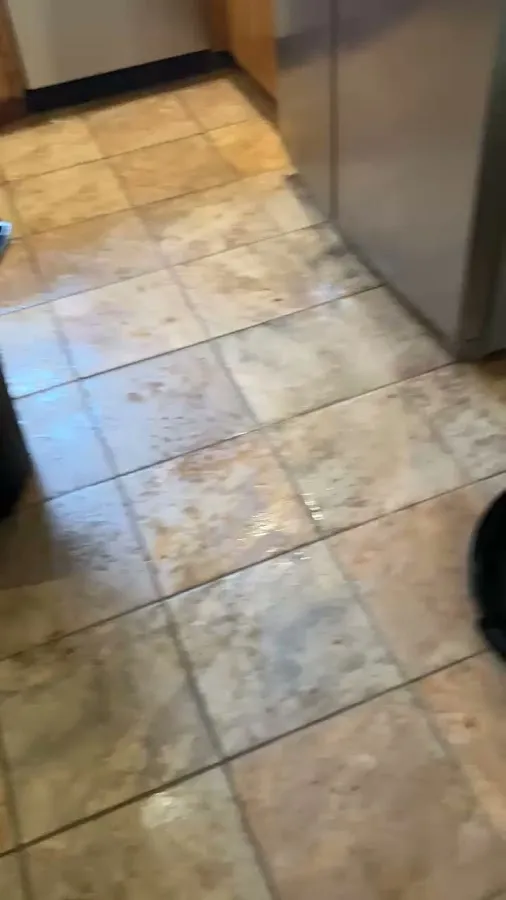 Sleep-Easy Pest Solutions photo 2