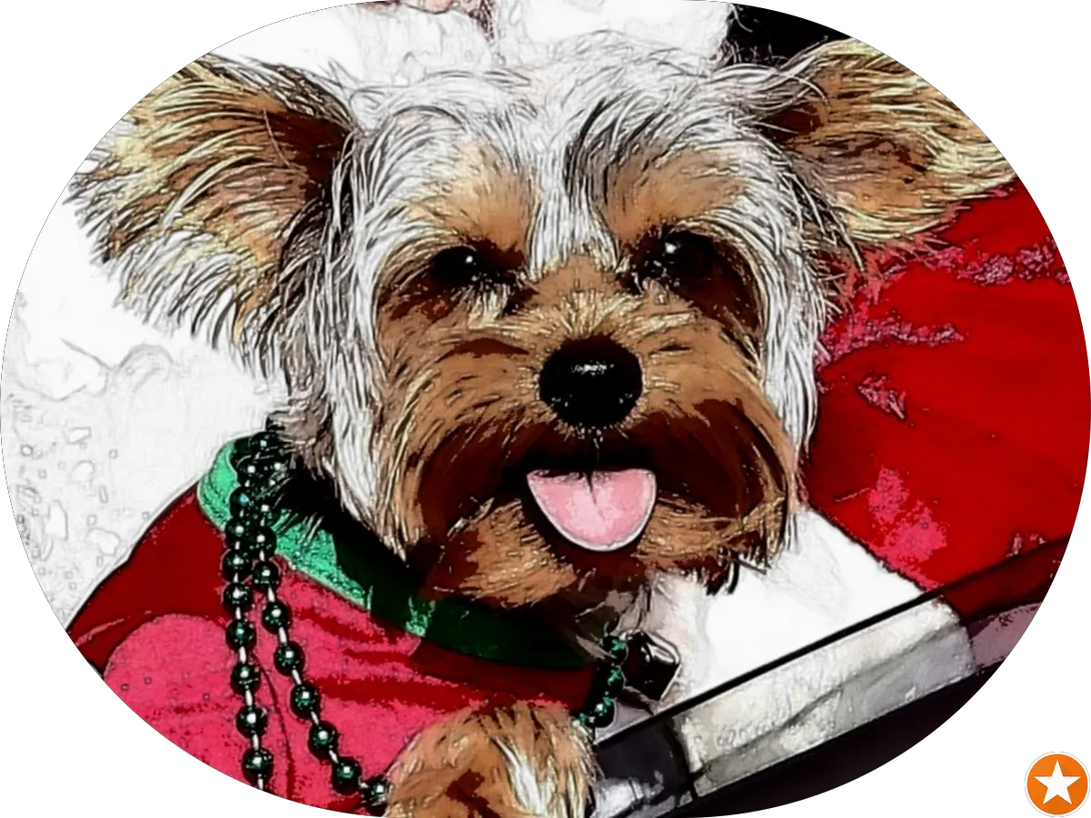 Slotnick & Schwartz photo 3