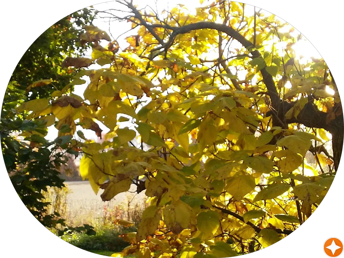 Smires and Associates Real Estate Agency Bordentown photo 4