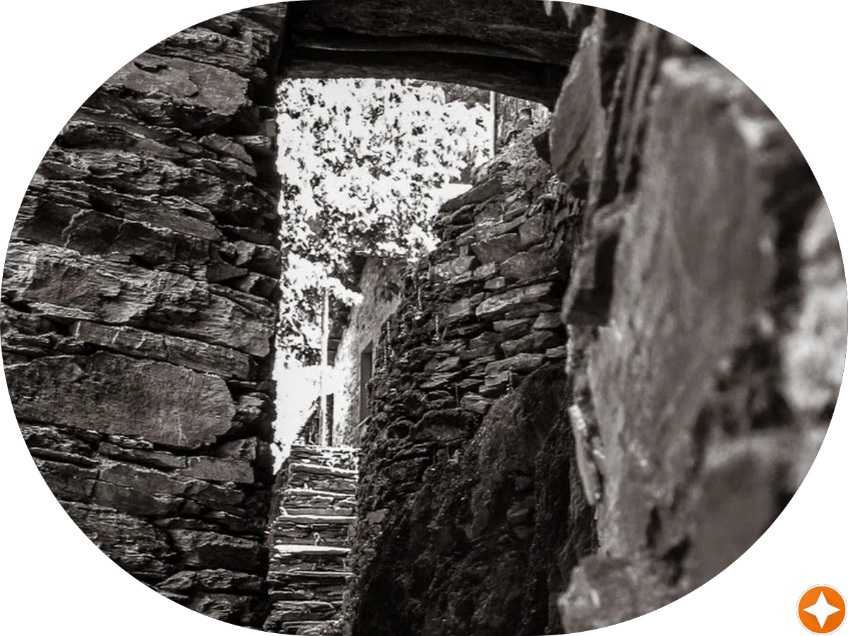 Smires and Associates Real Estate Agency photo 4