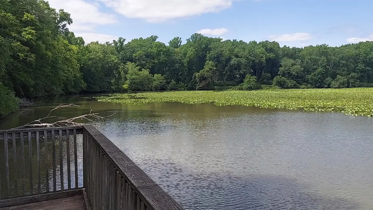 Smithville Lake parking photo 2