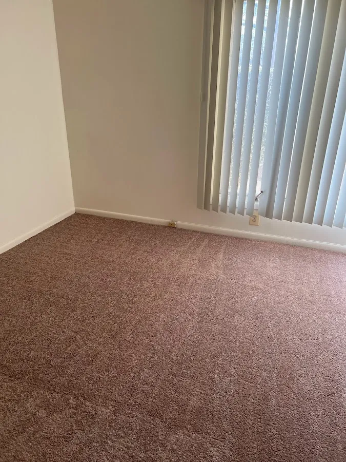 SO- Clean Sanitizing Professionals photo 2