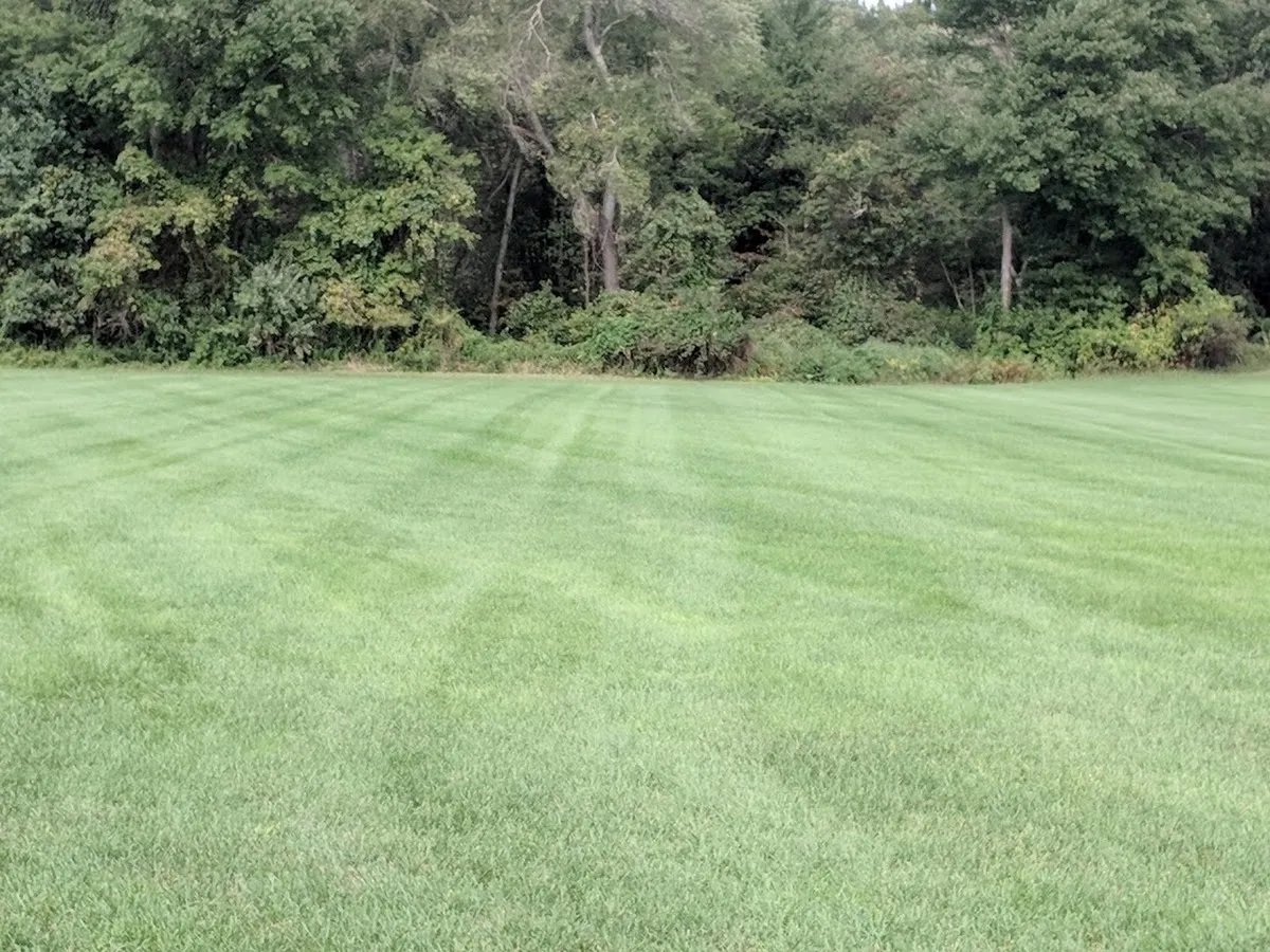 Sod Services photo 5