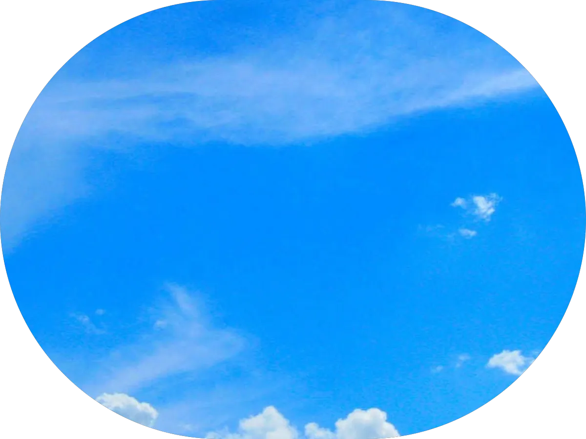 SoJo Pest Control photo 4