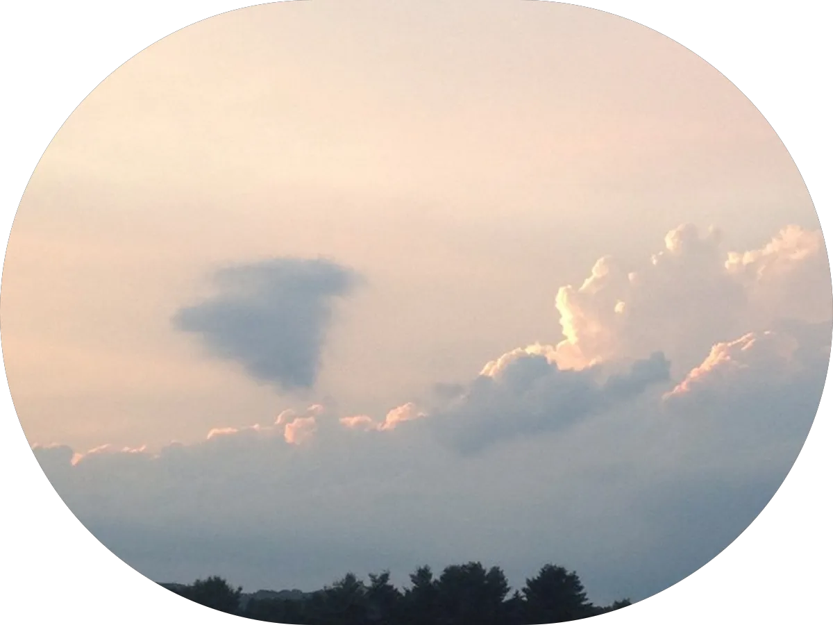 Solebury Landscaping Group photo 5