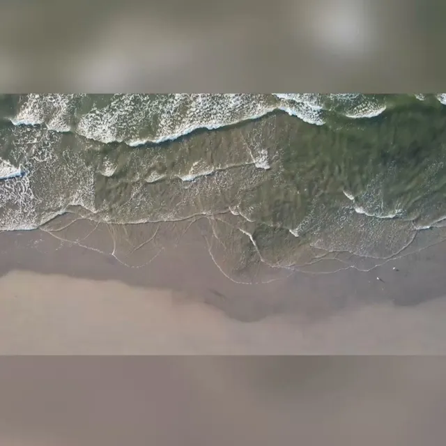 Soleil Sotheby's International Realty photo 2