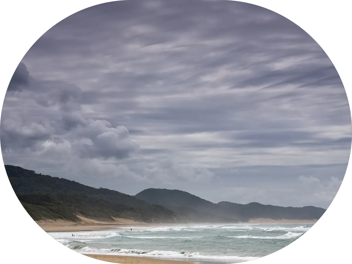 Someday Property Solutions