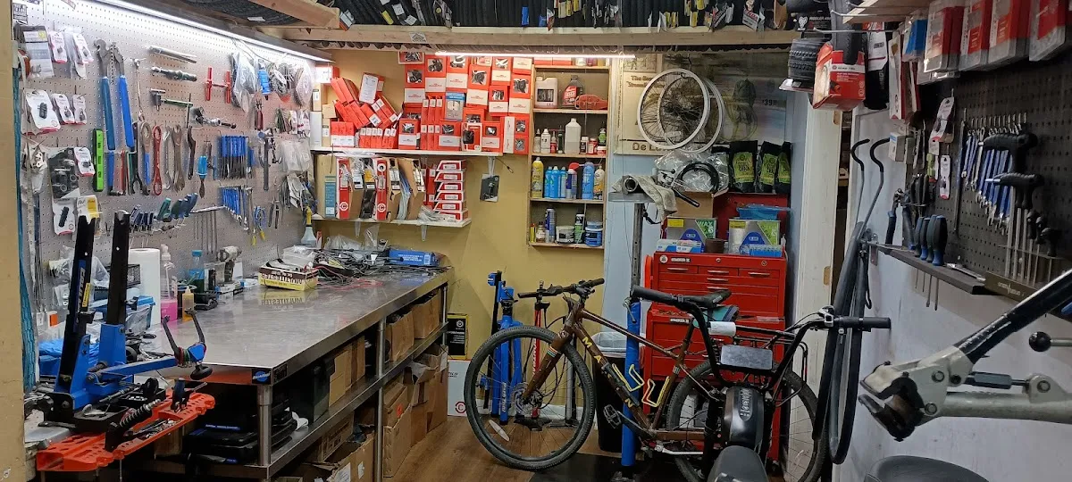Somers Point Cycles