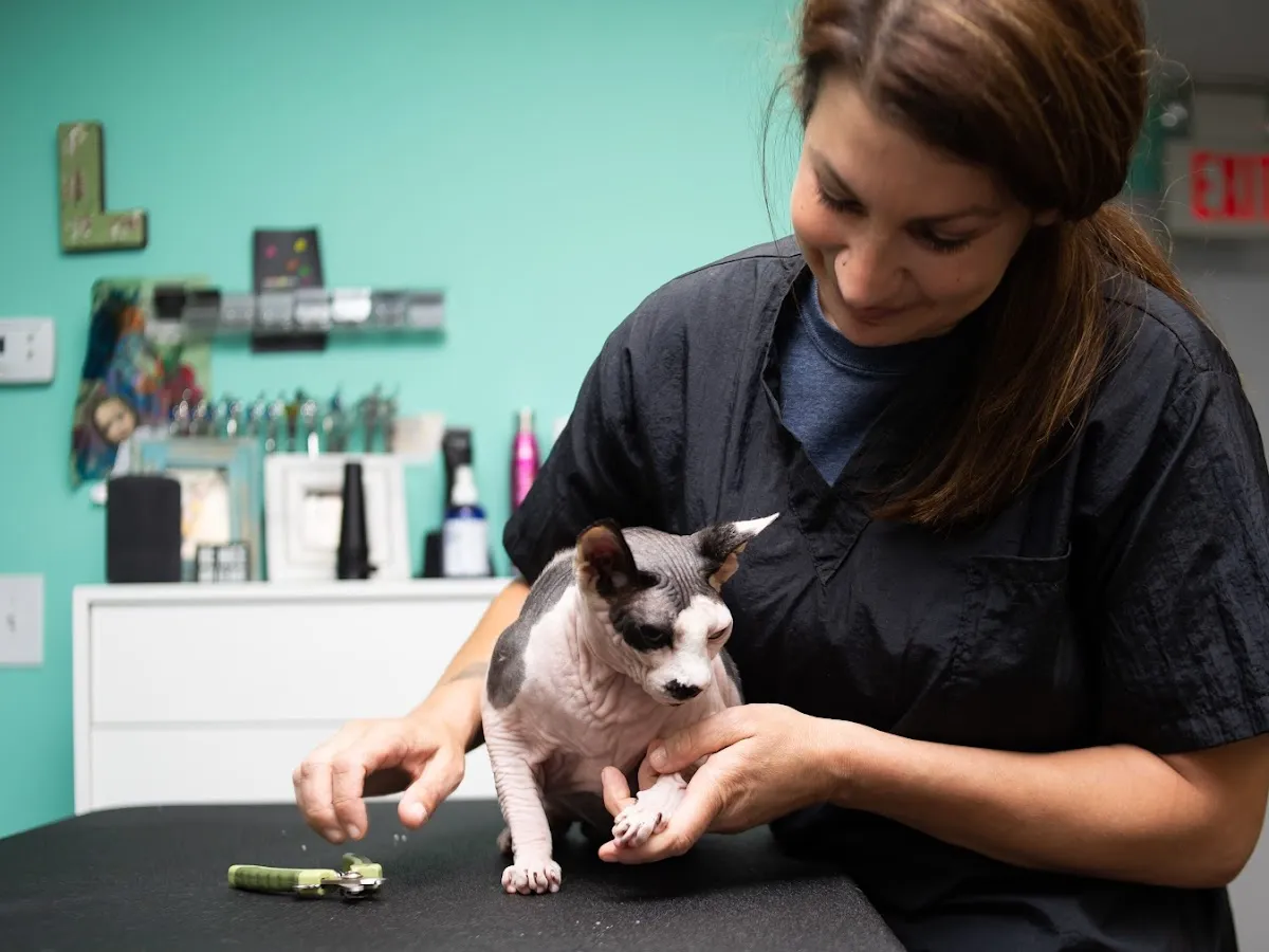 Somethin' To Wag About