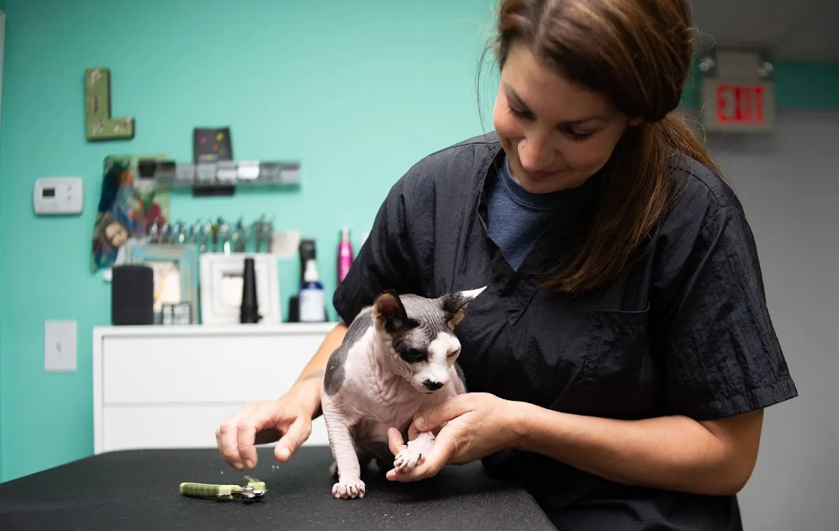 Somethin' To Wag About photo 2