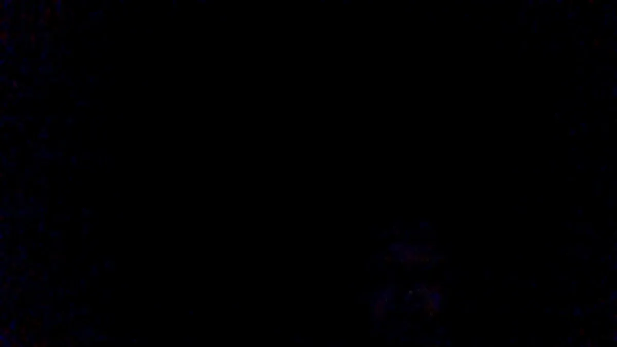 Soule Studio photo 3