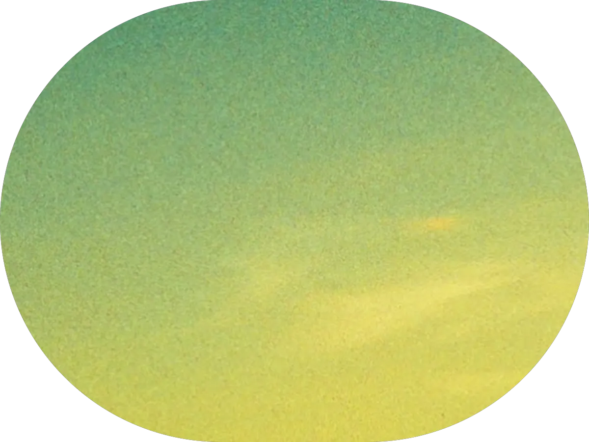 Soulshine Henna 🌿 photo 5