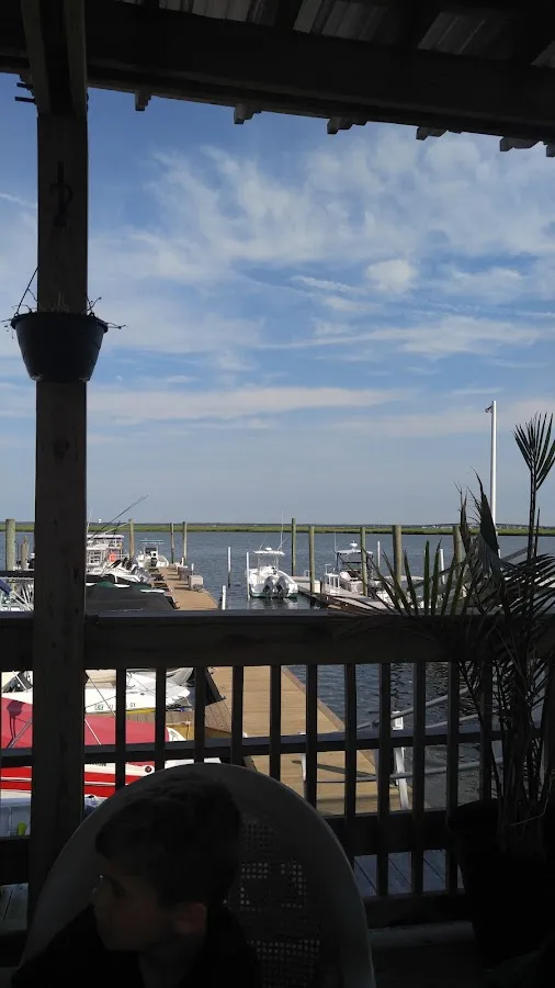 South Dock Marina photo 3