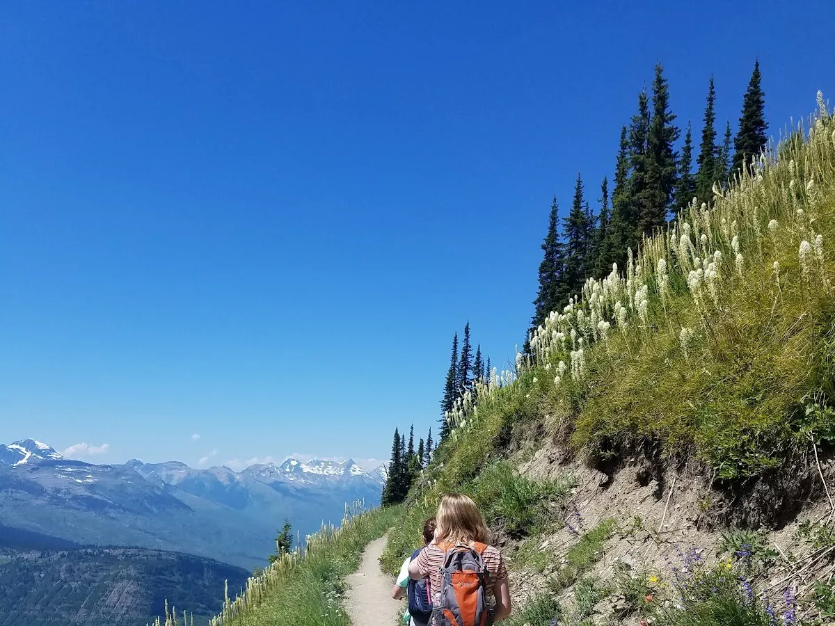 South Jersey Infectious Disease photo 4