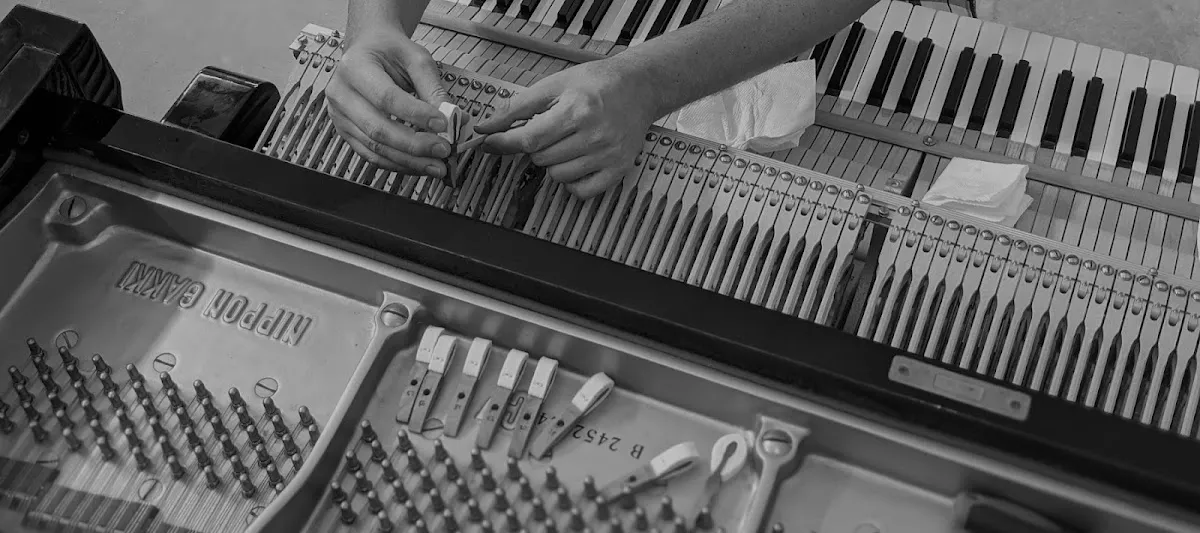 South Jersey Piano photo 2