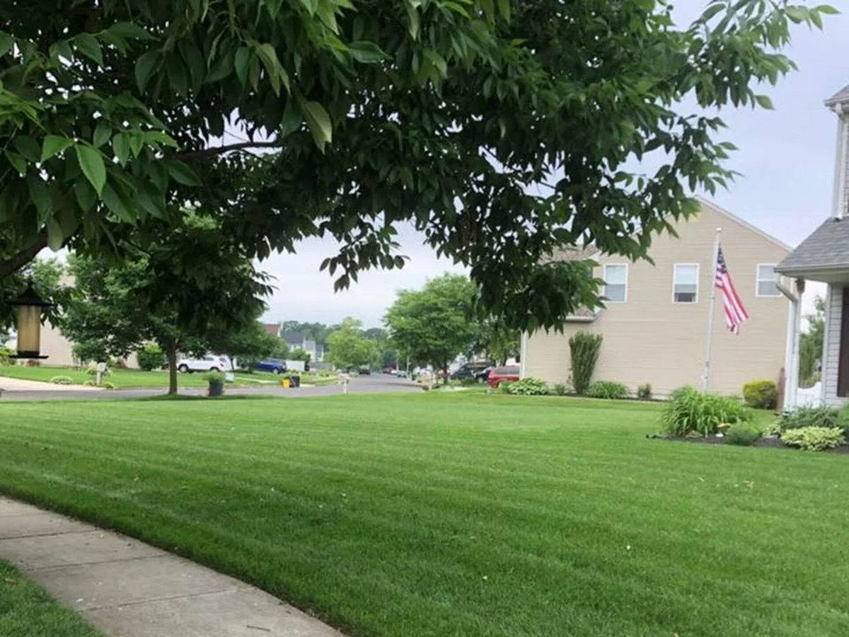 South Jersey Premier Landscaping Llc