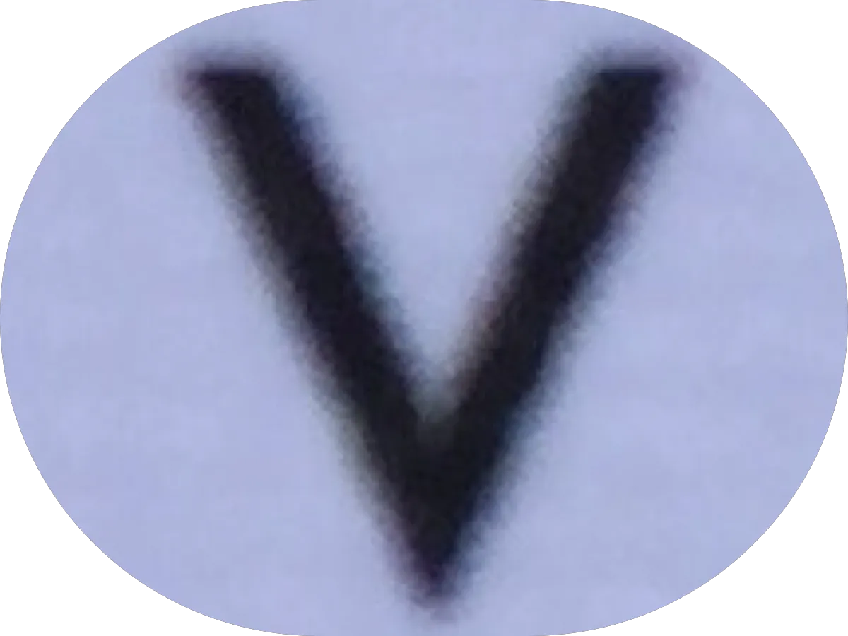 South Jersey Screen Repair photo 4