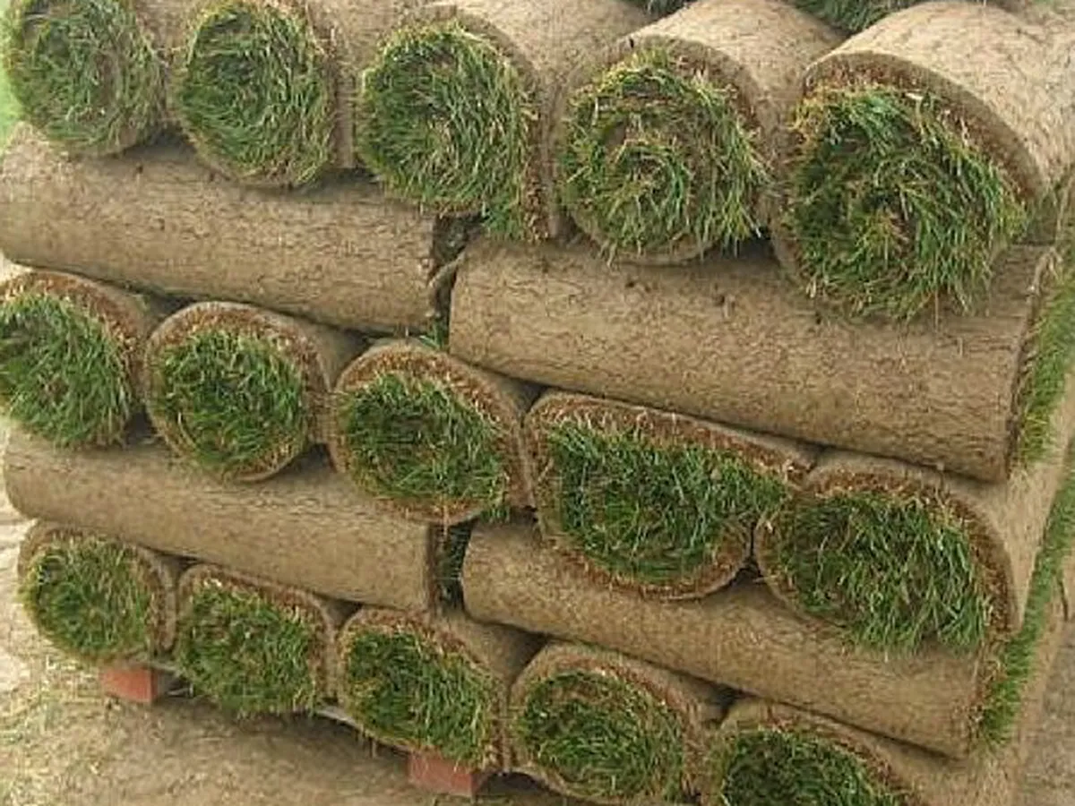 South Jersey Sod - DELIVERY
