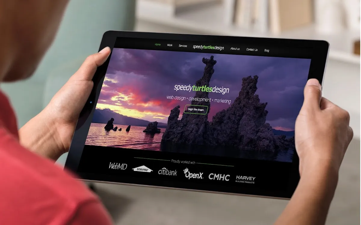 Speedy Turtles Web Design