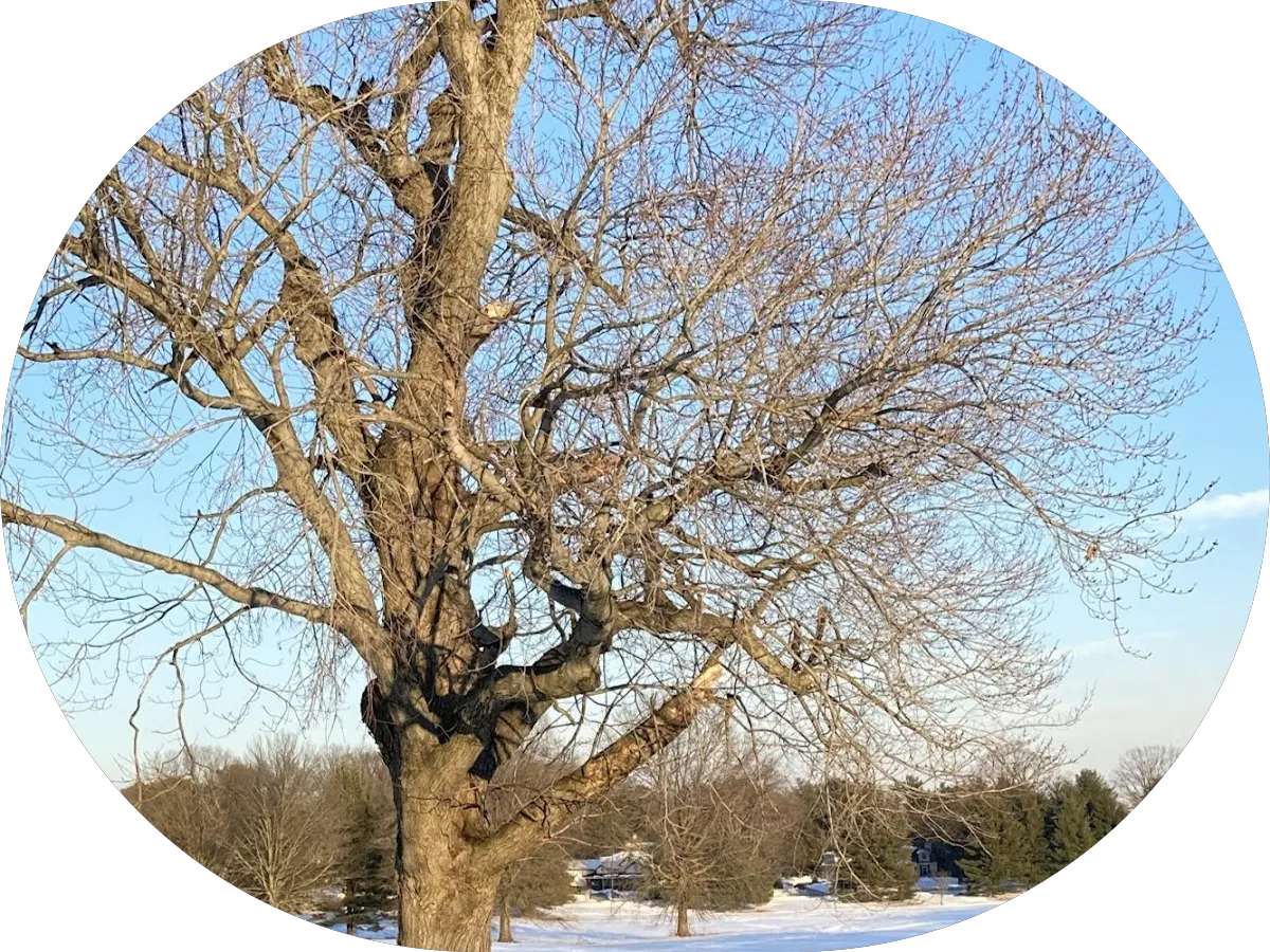 Spencer Realty Group