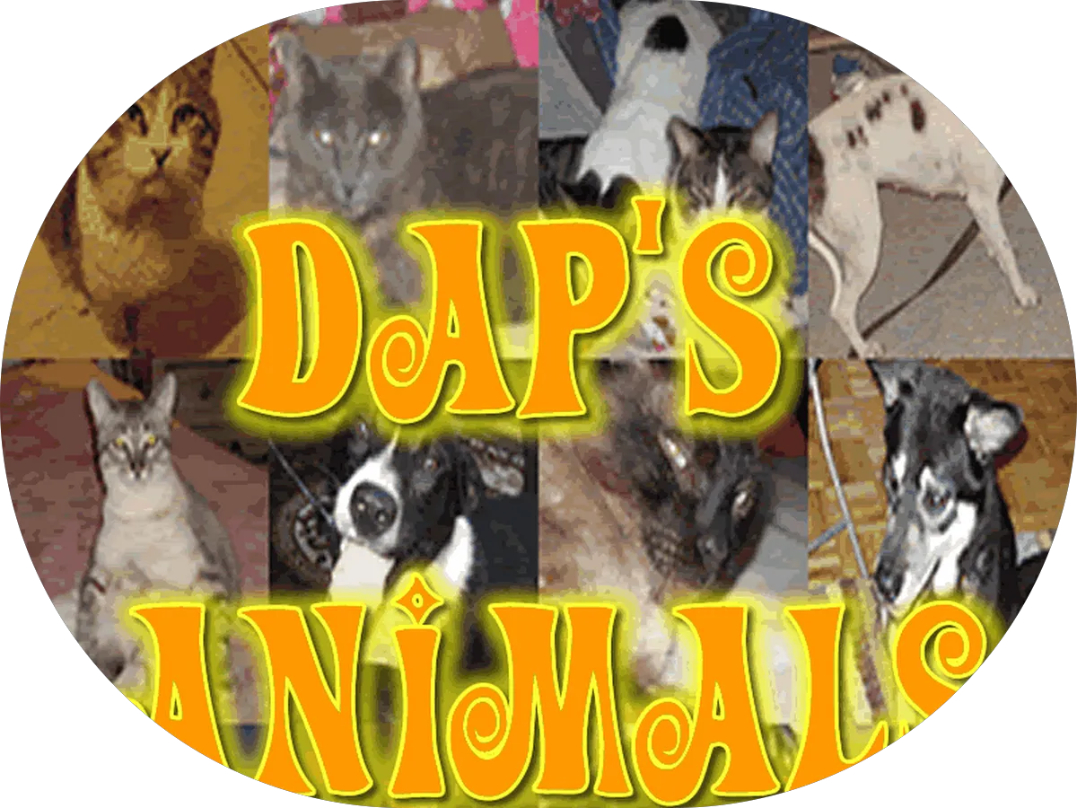 Spencer Schwartz, DMD photo 2