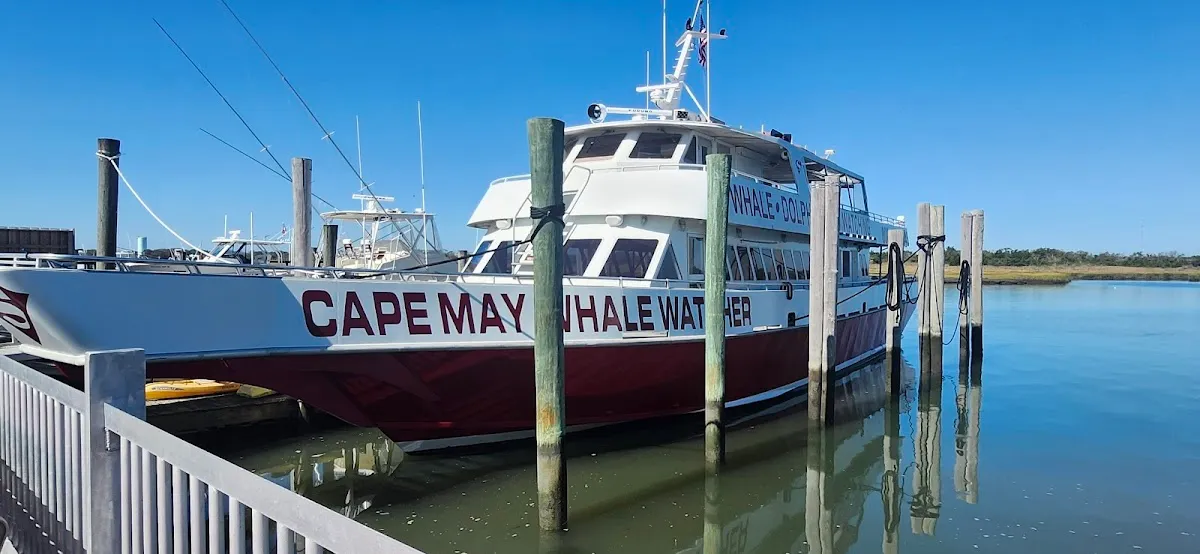Spirit of Cape May