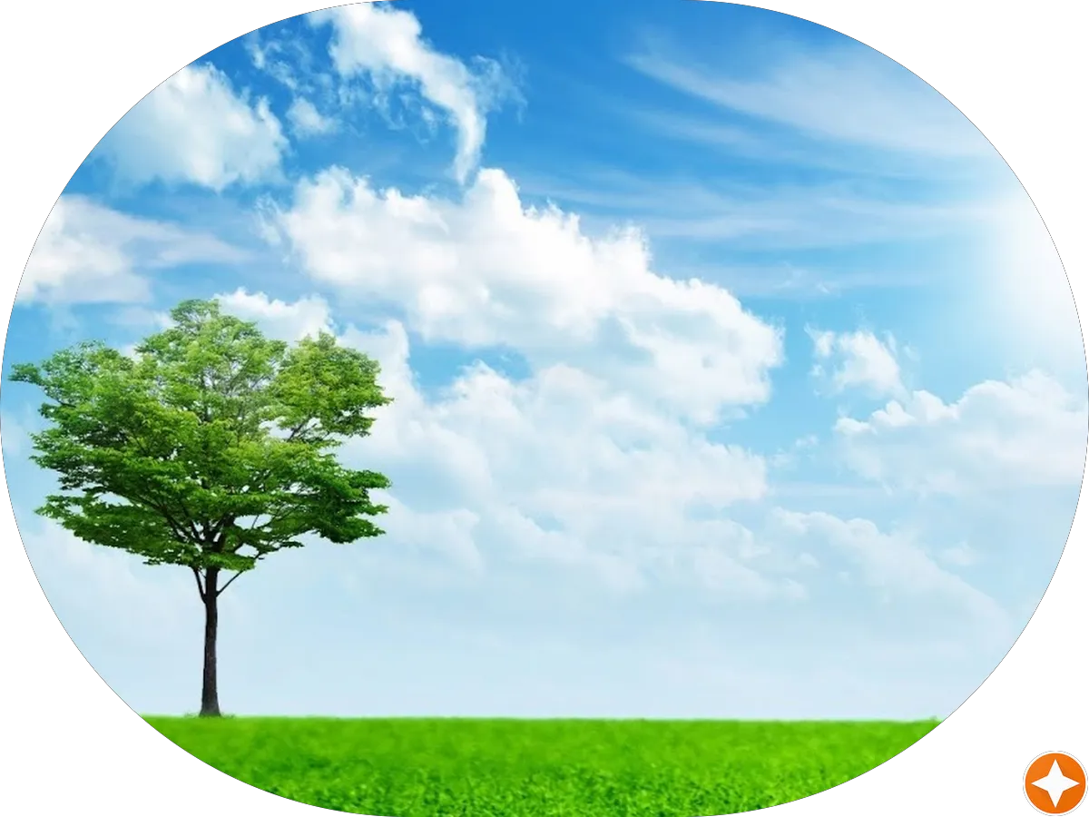 Splash & Dash Car Wash photo 4