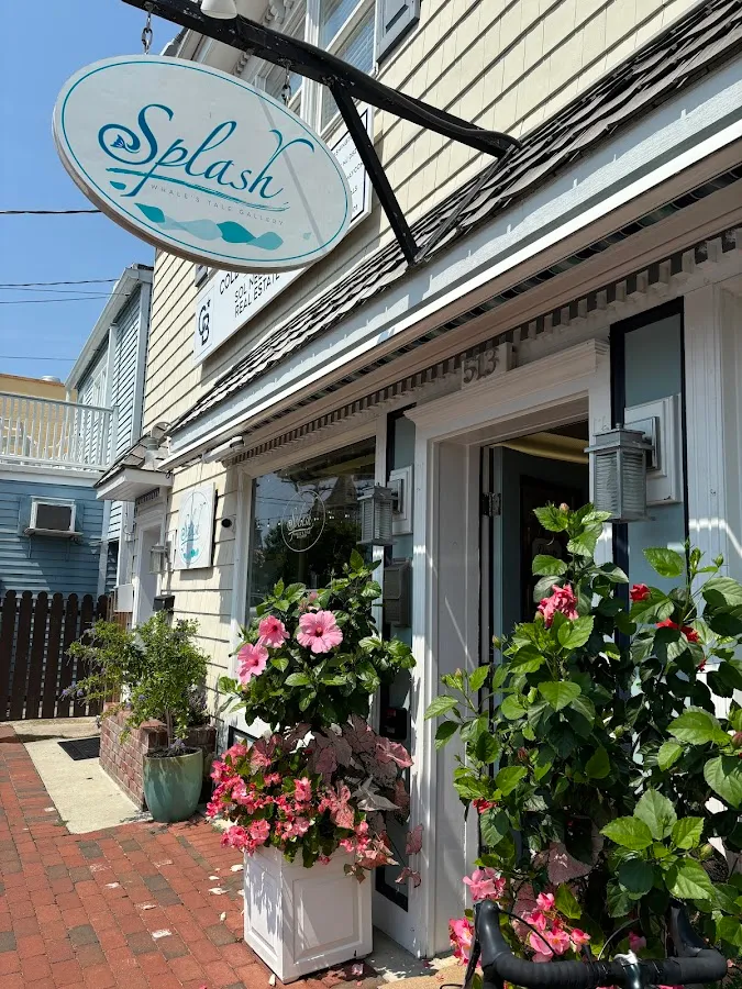 Splash: Whale's Tale Gallery