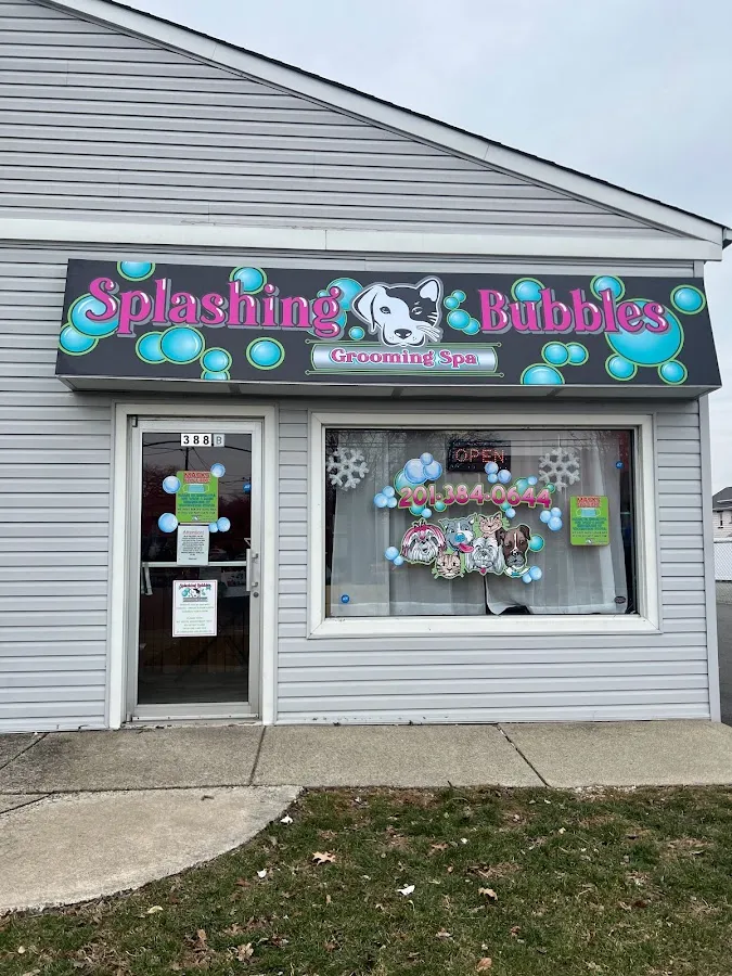 Splashing Bubbles Grooming Spa LLC photo 4