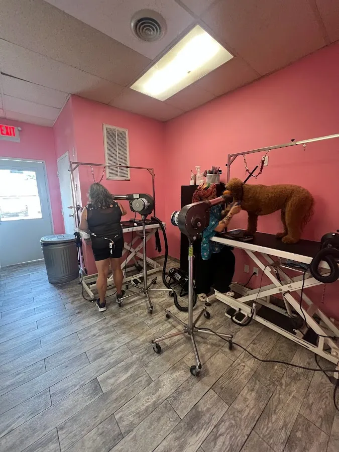 Splashing Bubbles Grooming Spa LLC photo 5