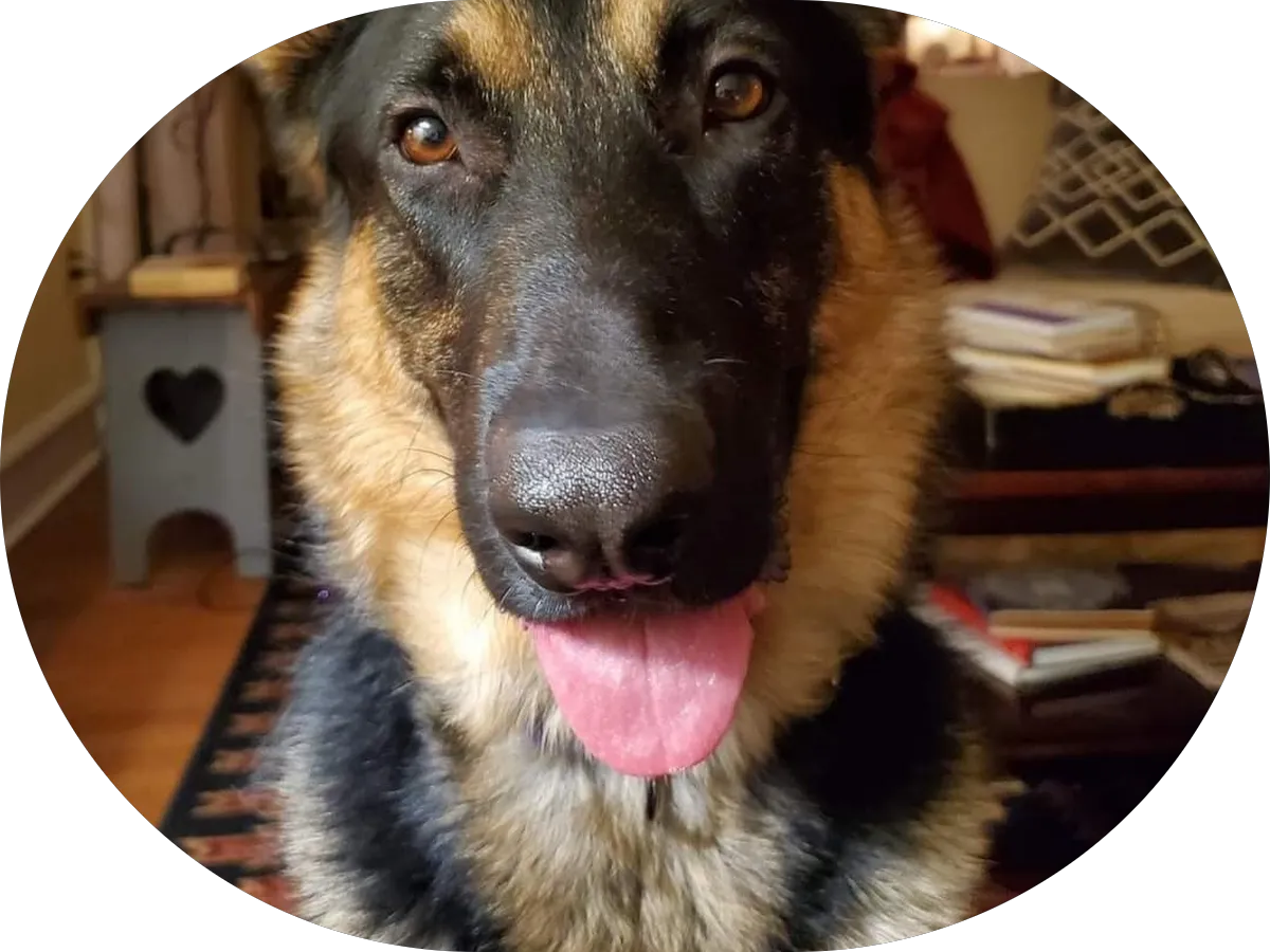 Sports Recovery Lab photo 3