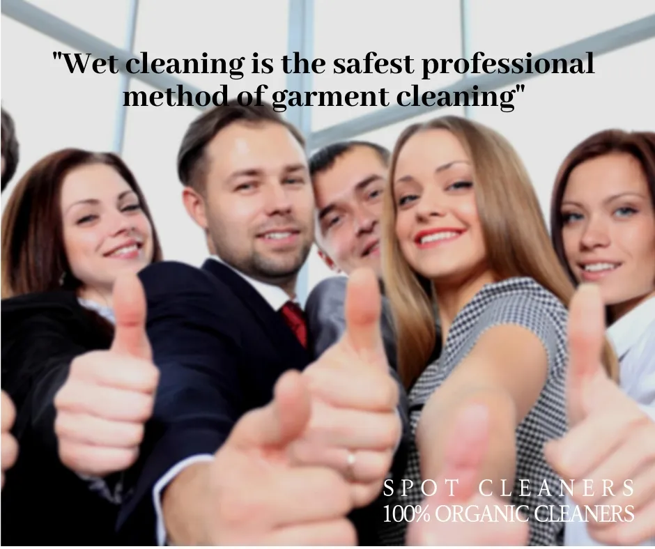 Spot Cleaners LLC photo 2