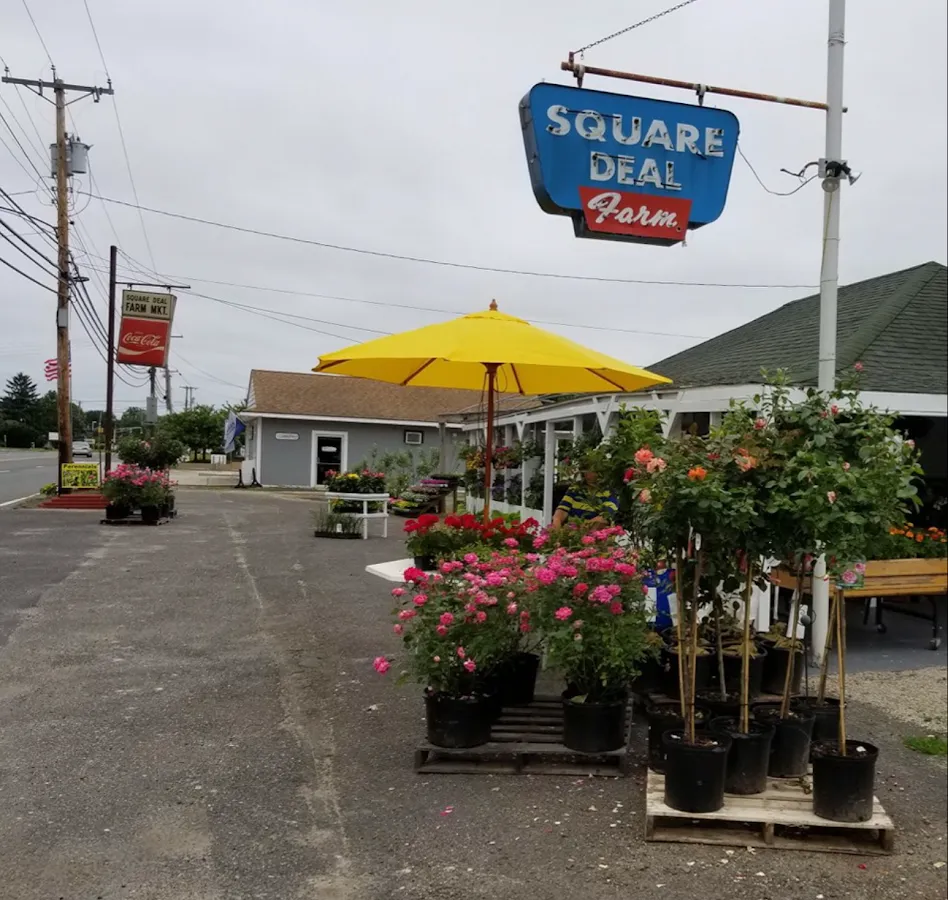 Square Deal Farm Market photo 2