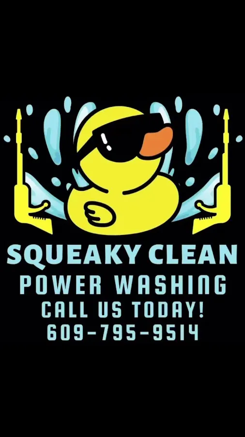 Squeaky Clean Power Washing photo 5