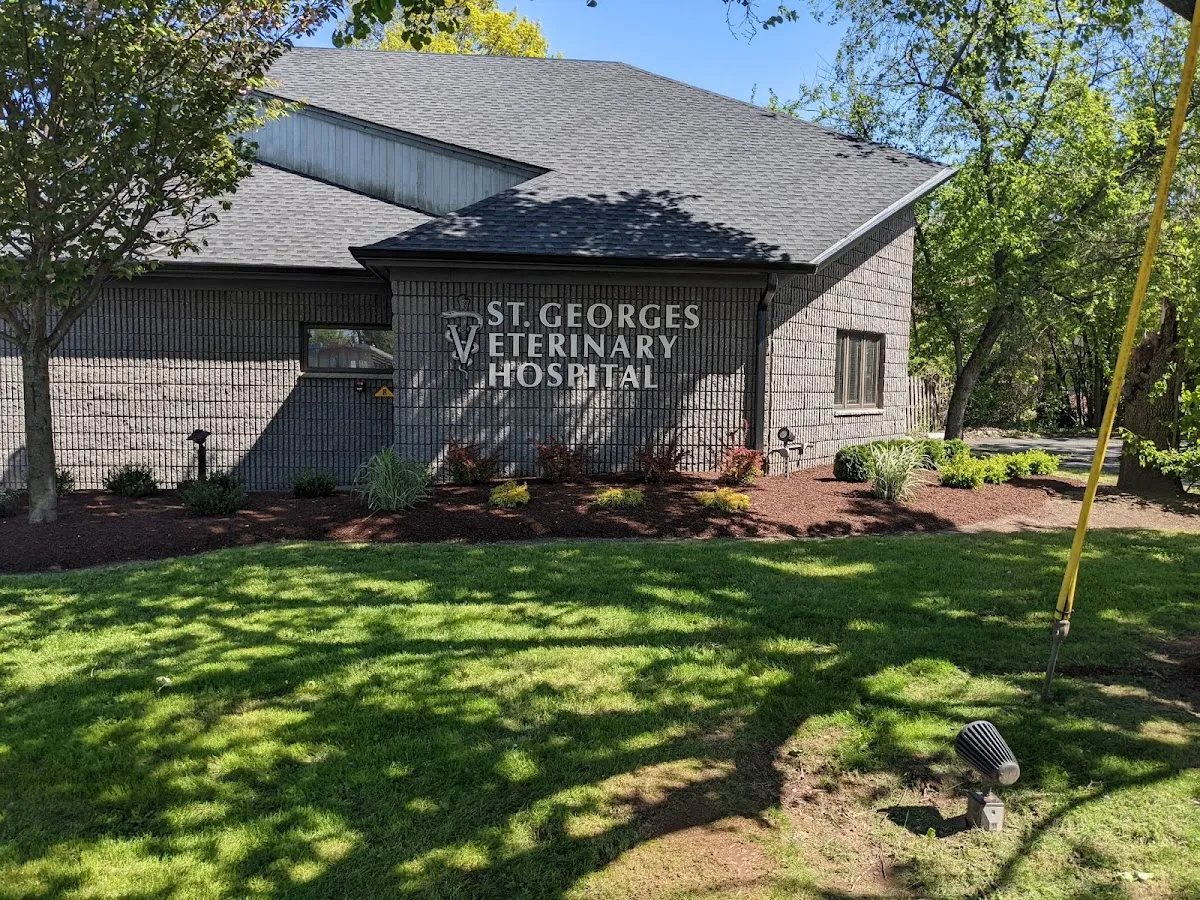 St. Georges Veterinary Hospital